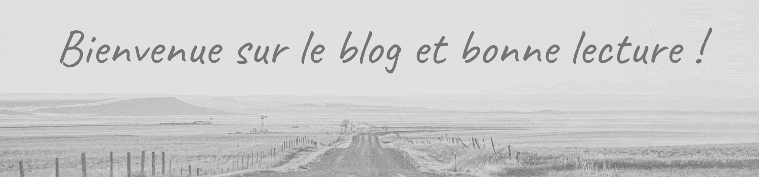 Blog pour les créateurs de contenu